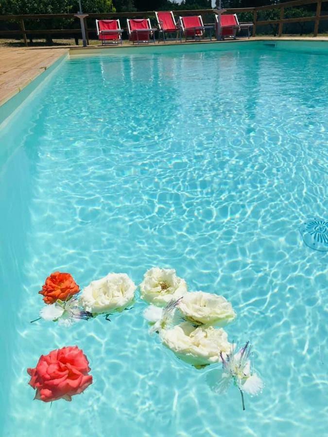 B&B Villa Jonica Gallipoli Ngoại thất bức ảnh